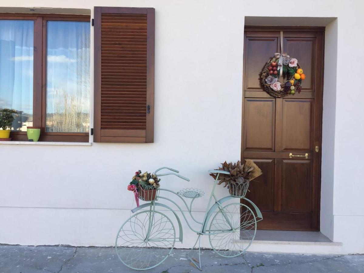 B&B Villa Angela Via Della Bonifica 17 Villareia Exterior photo